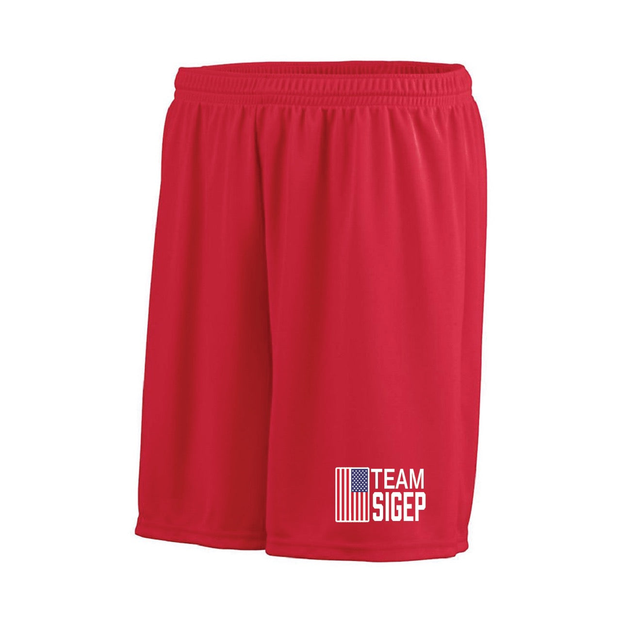 LIMITED PRE-ORDER: Team SigEp Athletic Shorts