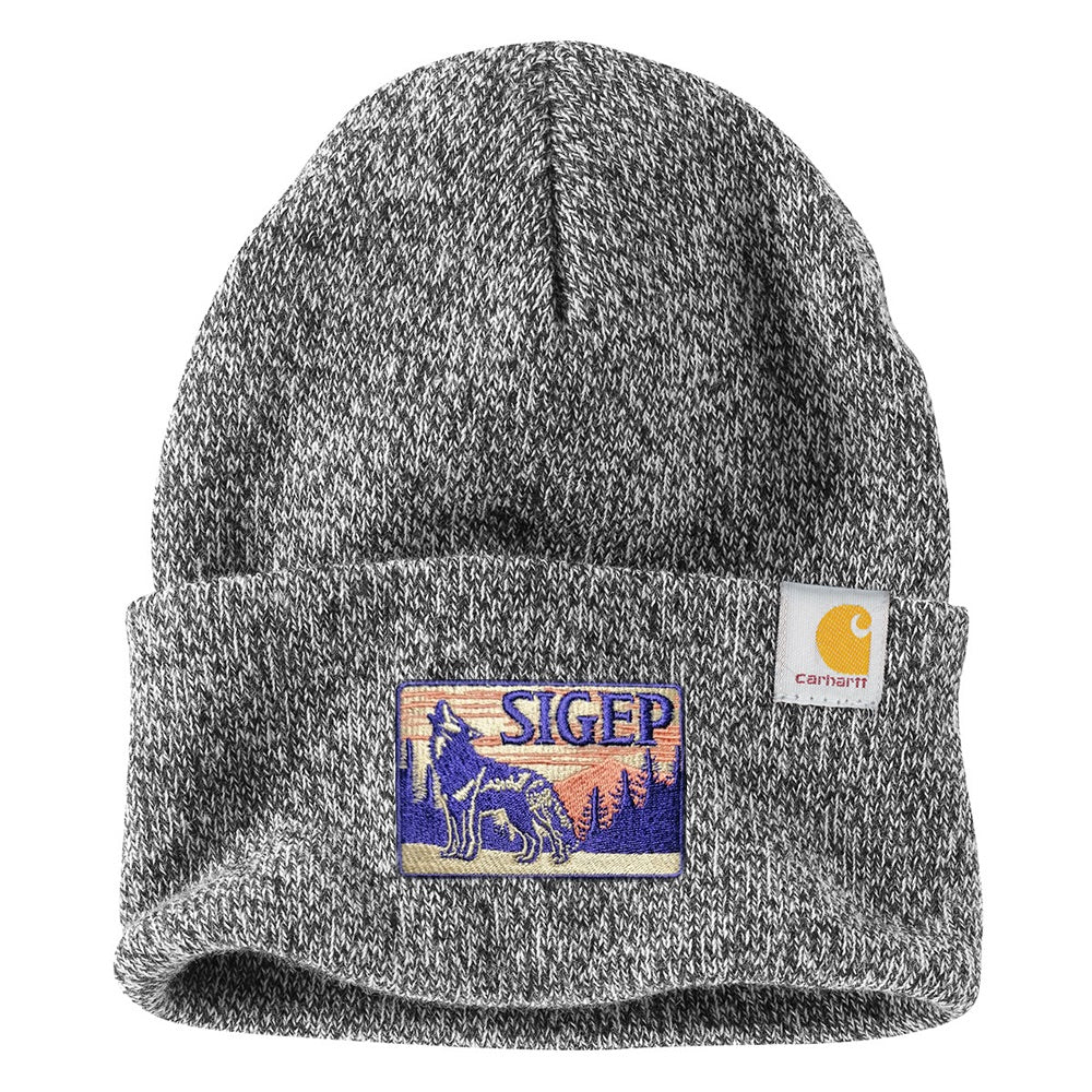 OUTDOORS COLLECTION: SigEp Beanie by Carhartt